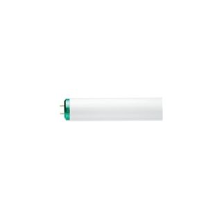 Lamp F40CW/RS/EW/ALTO